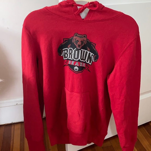 Brown University Hoodie - Picture 1 of 4